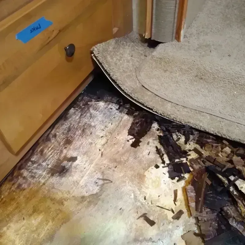 Wood Floor Water Damage in Churchill, OH